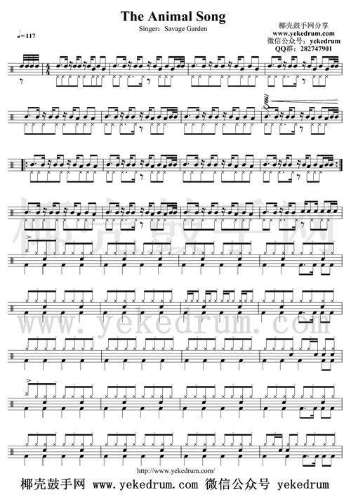 The Animal Song架子鼓鼓谱