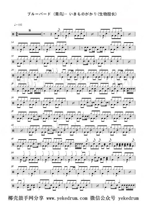 青鸟(火影忍者主题曲)架子鼓鼓谱